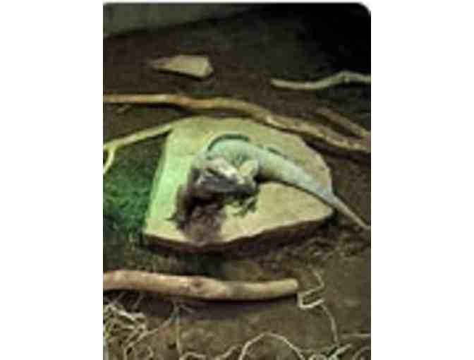 Clyde Peeling's Reptiland - Allenwood, PA