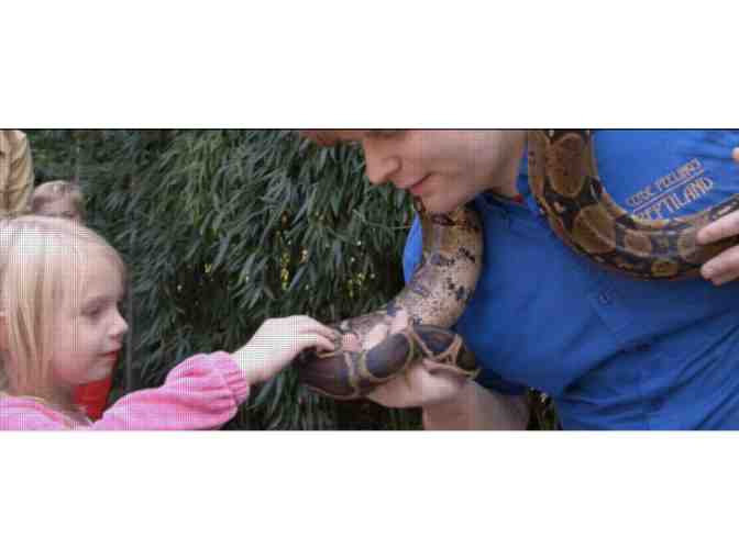 Clyde Peeling's Reptiland - Allenwood, PA