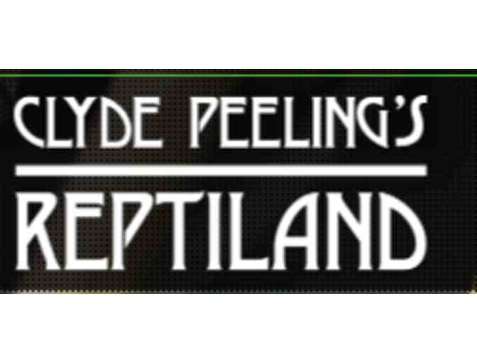 Clyde Peeling's Reptiland - Allenwood, PA