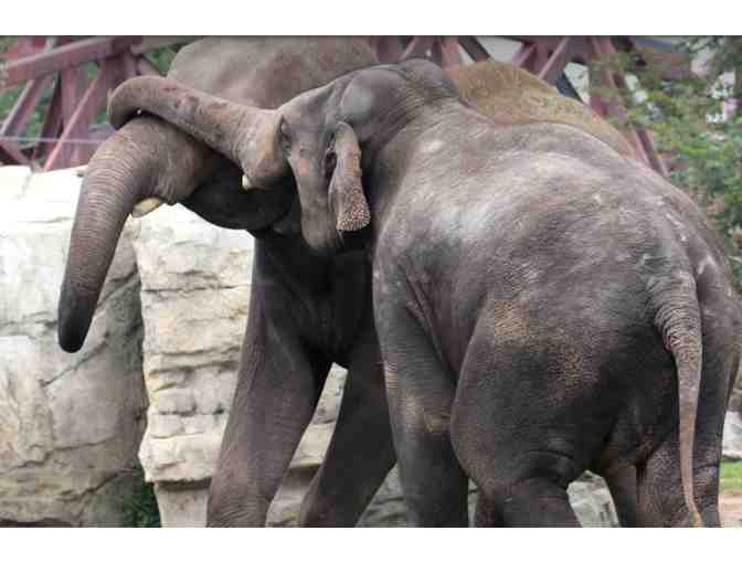 Denver Zoo - Denver CO