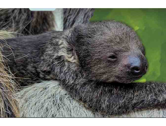 Denver Zoo - Denver CO