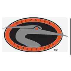 Delmarva Shorebirds