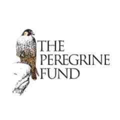 Peregrine Fund