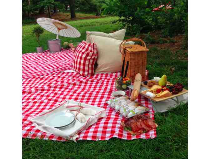 Perfect Picnic with Othello in the Park