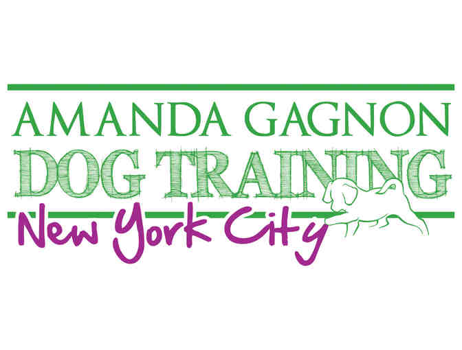 Dog-Lover's Package: Private Dog Training and a BarkBox!