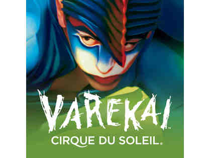 Cirque Du Soleil Varekai