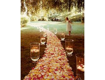 Wonderful Wedding Package