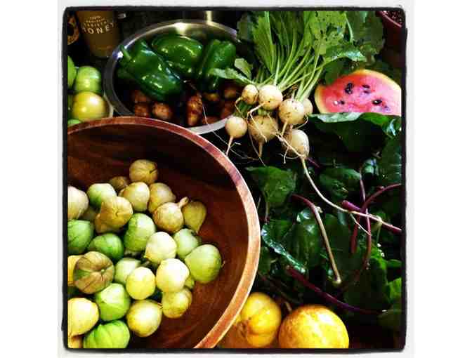 Holistic Health Counseling Options with Tari Ayala