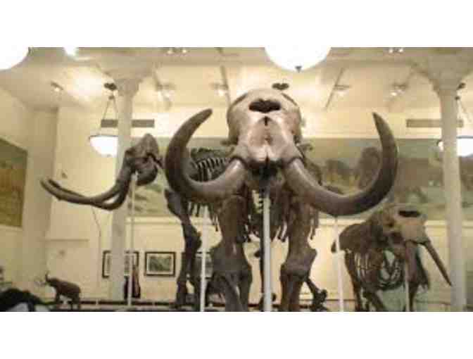 Two tickets to the Museum of Natural History NYC