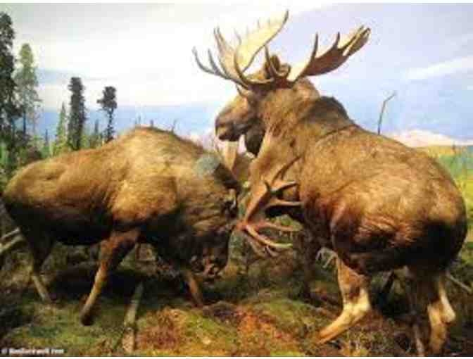 Two tickets to the Museum of Natural History NYC