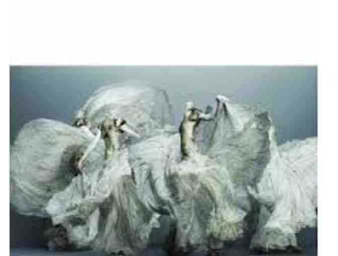 Signed Copy of Alexander McQueen: Evolution