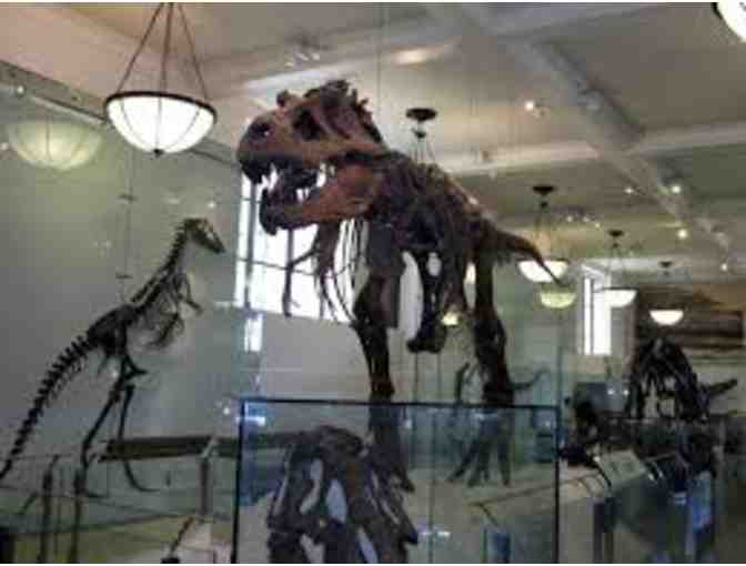 Museum of Natural History-5 Admission Tickets