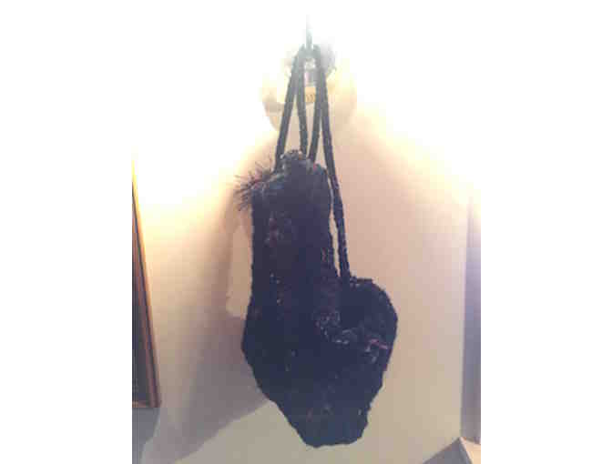 Knit Backpacks by Sandye Renz (Black with Rainbow Splash)