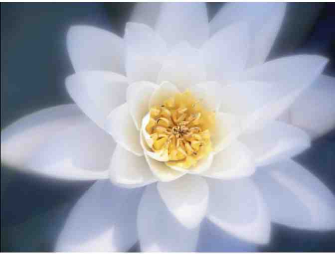 6 session Yoga and the Art of Happiness Workshop for 10, anywhere in Tri-State area!