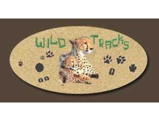 Coffee day tour with Wild Tracks Safari