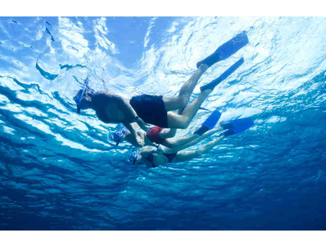 A week at the Verandah Resort & Spa, Antigua