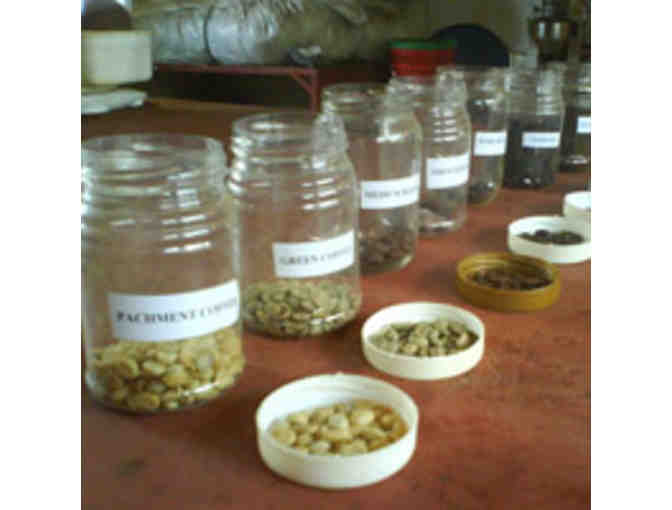 Coffee day tour with Wild Tracks Safari