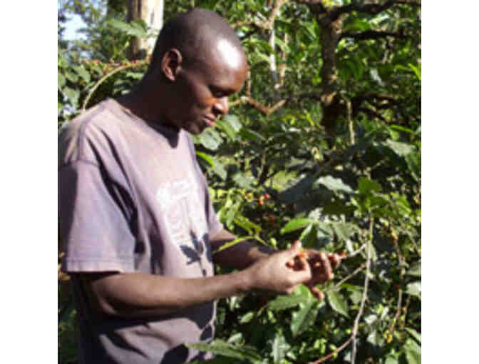 Coffee day tour with Wild Tracks Safari