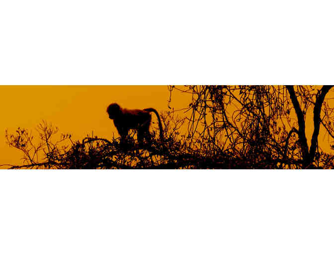 One day Tanzanian cultural tour and walking safari