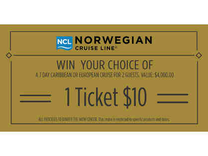 Cruise Raffle Ticket