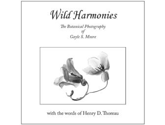 '...Harmonies' - boxed set of 2 photography books
