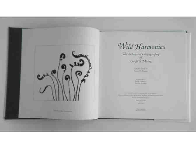 'Wild Harmonies' by Gayle Moore, Photographer