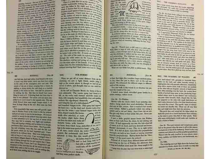 The Journal of Thoreau 'In Fourteen Volumes, Bound as Two' First Dover Edition 2 Vols.