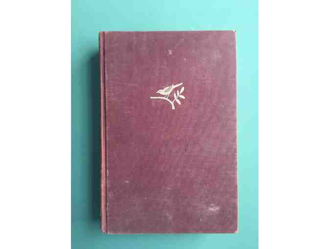 The Days of Henry Thoreau