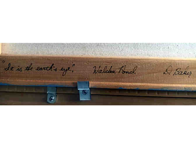 Fine Art - 'It is the earth's eye, Walden Pond,' Douglas Baker '96