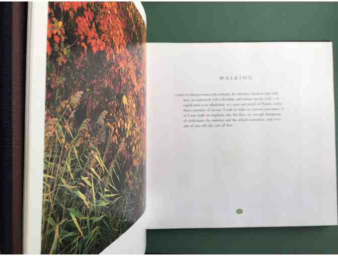 Walking with photographs from John Wawrzonek