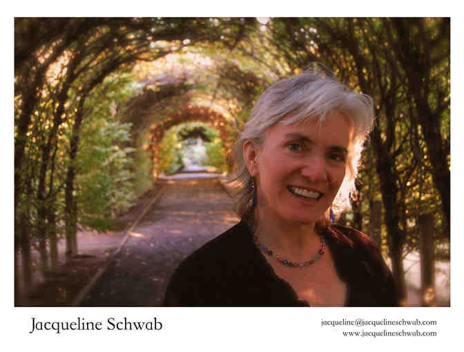 OVERLOOKED - Piano Concert with Jacqueline Schwab (film score composer for Ken Burns)