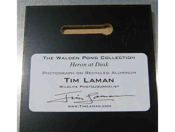 'Heron at Dusk' Photograph on Metal by Photographer Tim Laman