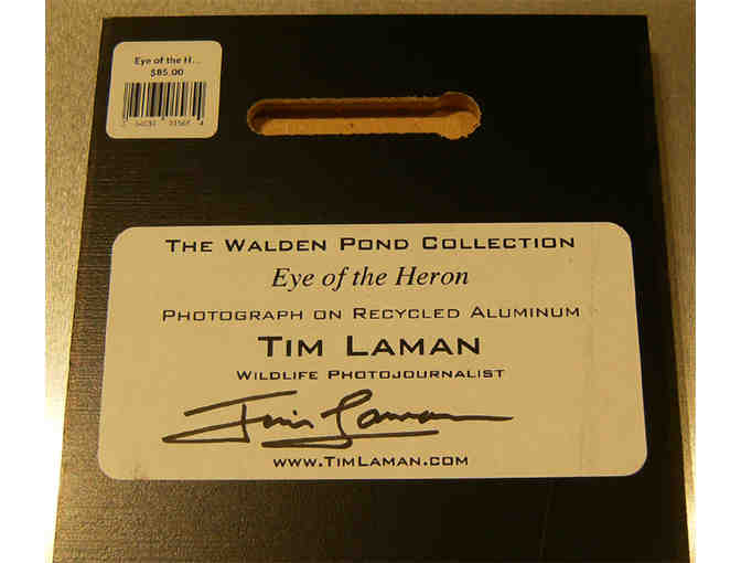 'Eye of the Heron' Photograph on Metal by Photographer Tim Laman (copy 1)