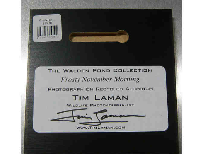 'Frosty November Morning' Photograph on Metal by Photographer Tim Laman (copy 1)