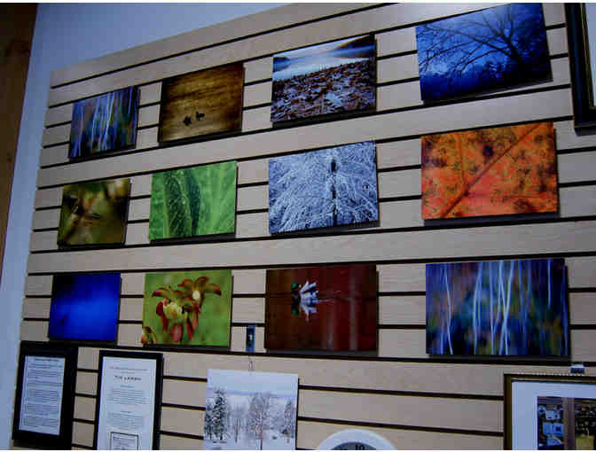 'Frosty November Morning' Photograph on Metal by Photographer Tim Laman (copy 1)