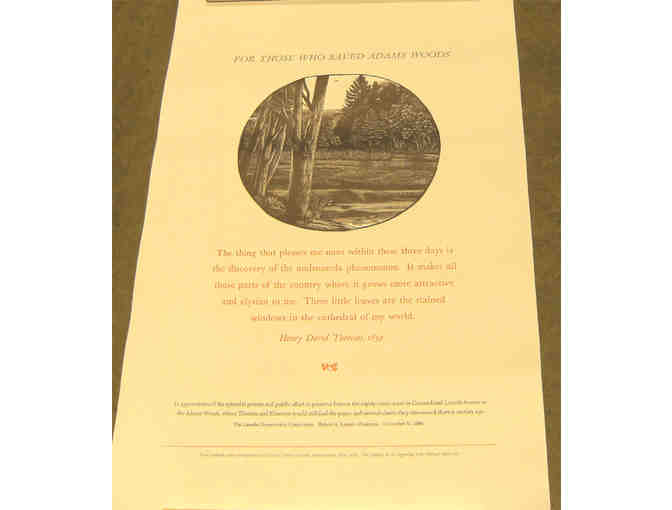 Adams Woods poster with Michael McCurdy wood engraving & Thoreau quote - Photo 1