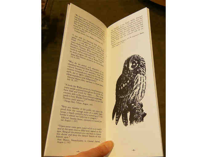 Voices for Walden: Walden Forever Wild pamphlet (1987)