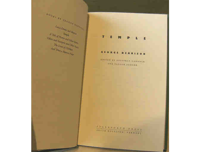 Temple: From a Writer's Notebook, by George Dennison (1994)