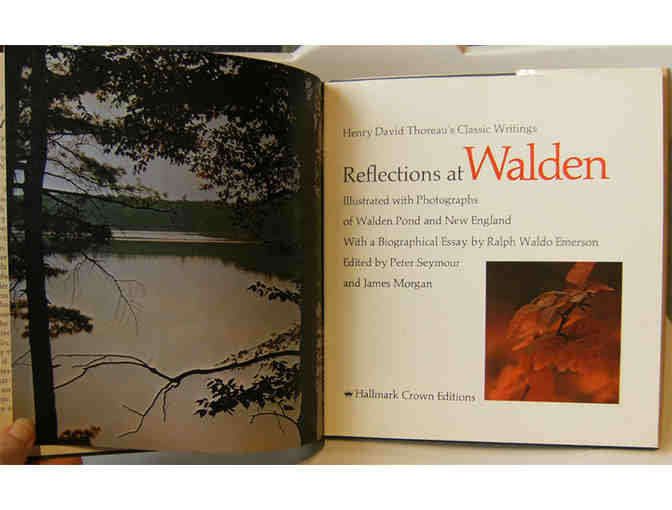 Reflections at Walden: Thoreau's Classic Writings illustrated with Photographs (1971)