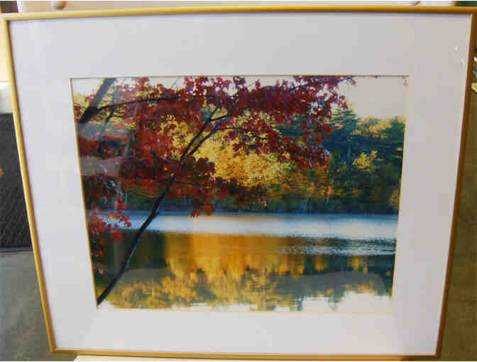 Autumn at Walden Pond - Framed Giclee Print by Deborah Shneider Smith