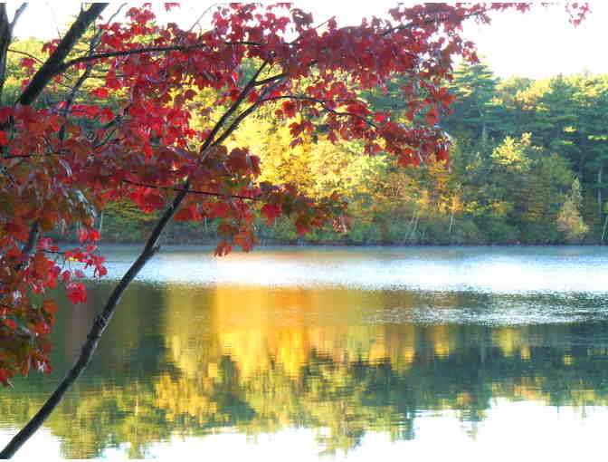Autumn at Walden Pond - Framed Giclee Print by Deborah Shneider Smith