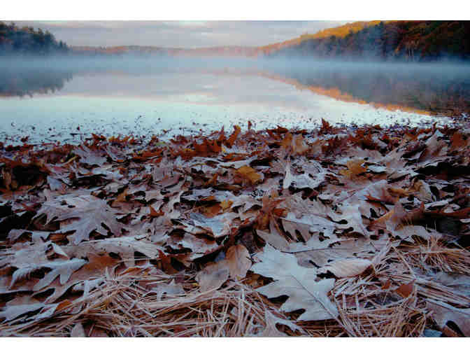 'Frosty November Morning' Photograph on Metal by Photographer Tim Laman (copy 2)
