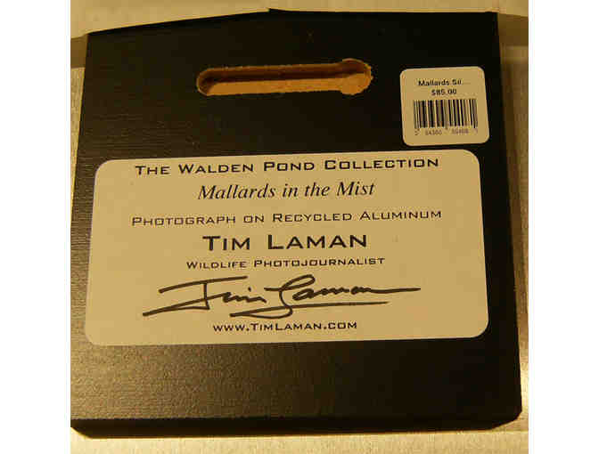 'Mallards in the Mist' Photograph on Metal by Photographer Tim Laman (copy 2)