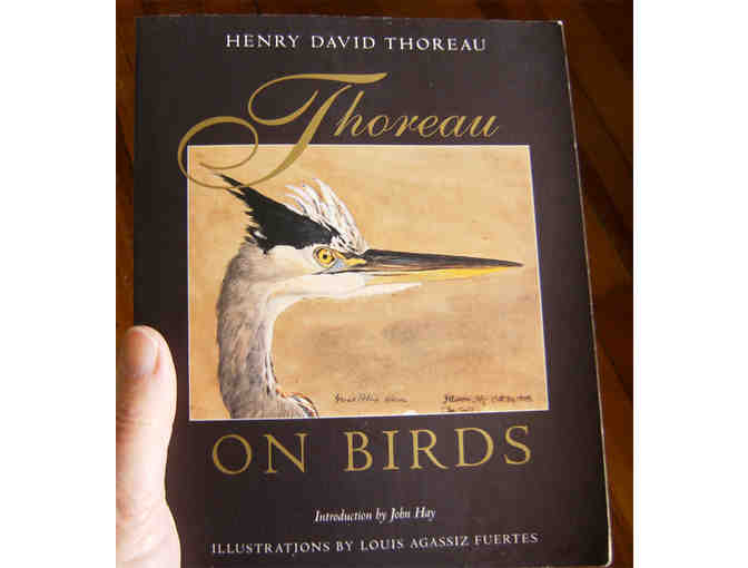 Thoreau on Birds, by Henry David Thoreau, John Hay, Louis Agassiz Fuertes