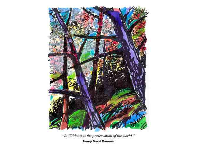 Box of 6 Thoreau-Inspired Greeting Cards (first set) - Marianne Orlando