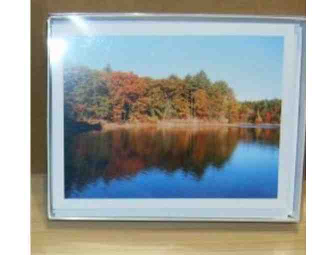 Box of 10 Assorted Walden Pond Note Cards (second set) - Deborah Shneider Smith