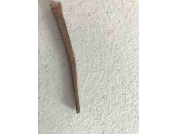 Nail from Thoreau's Birthplace