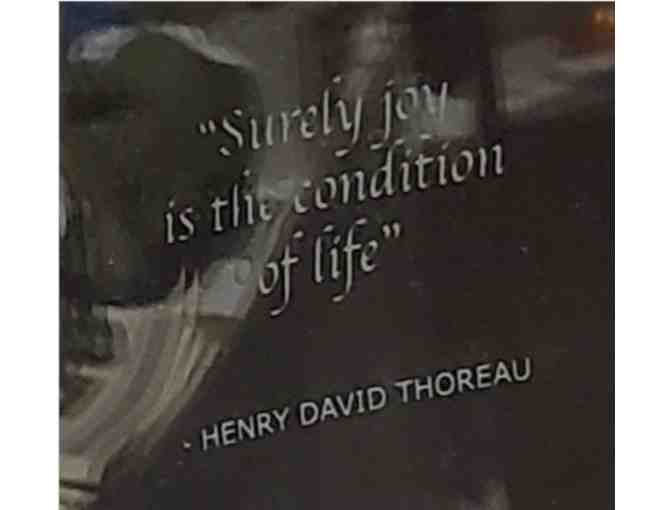 'Surely joy' Thoreau Quote on Glass Frame