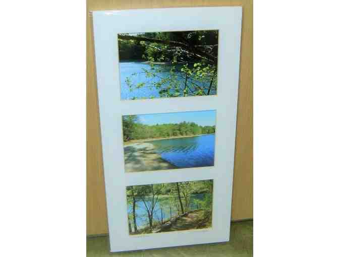 Walden Pond Summer Triptych - Matted Giclee Prints by Deborah Shneider Smith