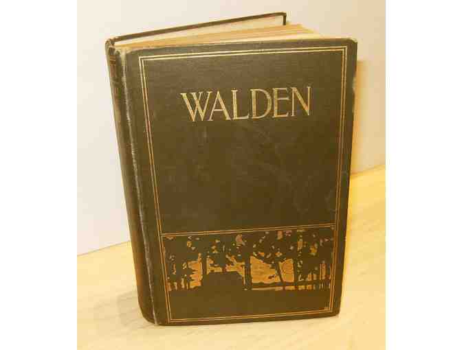 Walden, by Henry David Thoreau; intro by Bradford Torrey, illus. by A. W. Hosmer (1902)